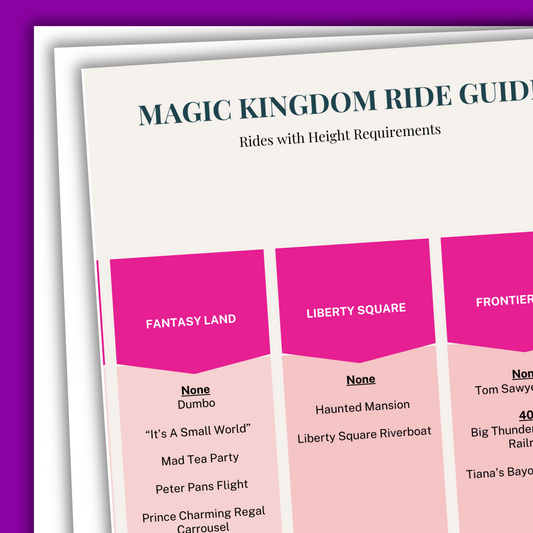 Walt Disney World Ride and Entertainment Guides